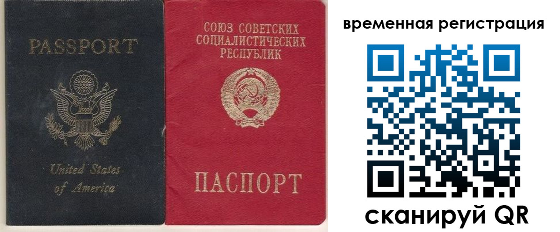 прописка законно в Александровске